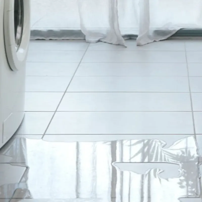 Appliance Leak Cleanup in Darmstadt, IN