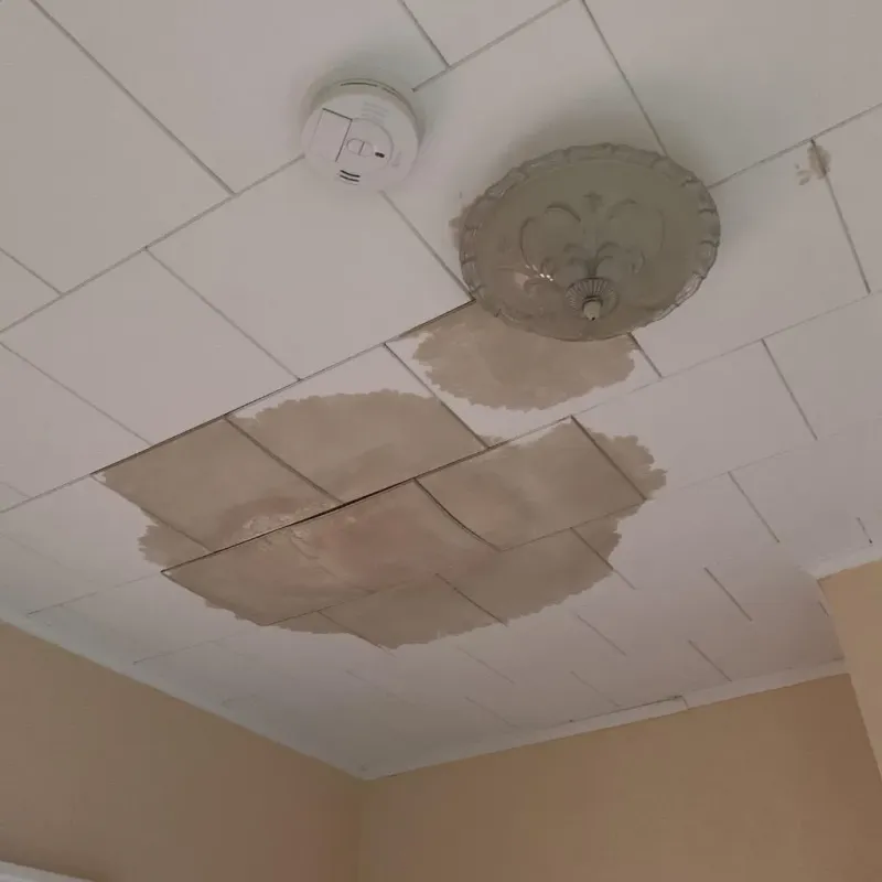 Ceiling Water Damage Repair in Darmstadt, IN