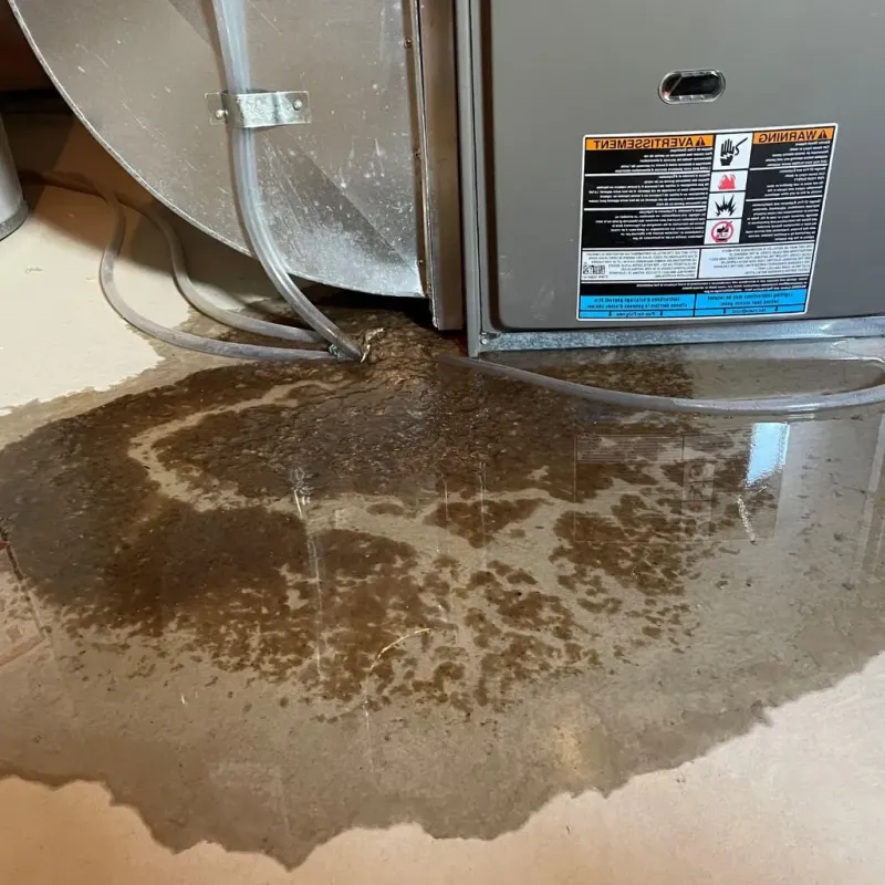 Pipe Burst and Leak Restoration in Darmstadt, IN