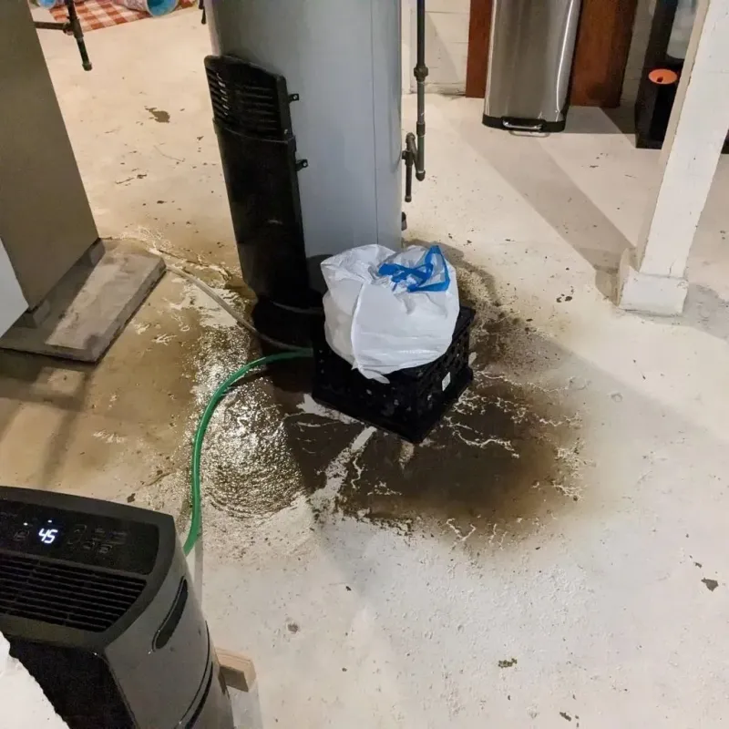 Sewage Backup Cleanup Service in Darmstadt, IN